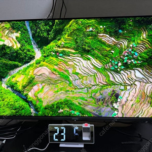 MSI MPG 321URX QD-OLED 240 4K UHD