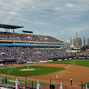 (정가)메인워페구역 8월 13일 (수) 수원kt위즈파크 LG vs kt 1루응원석 107구역 2연석 통로2칸옆 정가양도 합니다