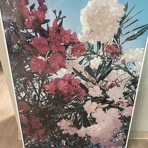 장우철 시칠리아 꽃 액자, 화이트 알루미늄, 울산 동구 직거래만
