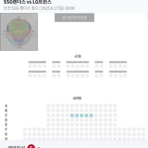 [프로야구]8월 17일 SSG:LG 중앙4층 409구역 C열 5연석
