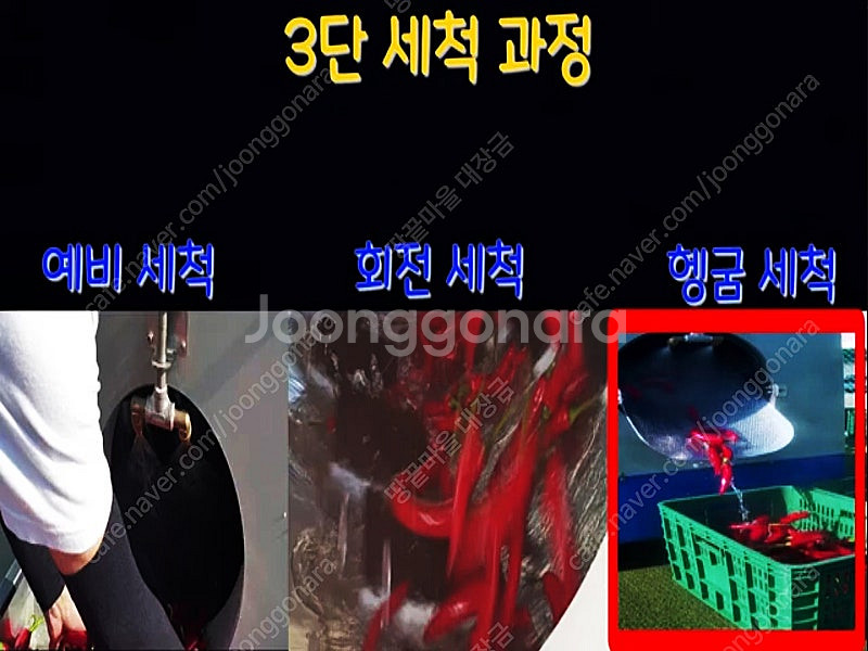 2025년 GAP인증 햇고추가루 청양 고춧가루 안매운순...--1