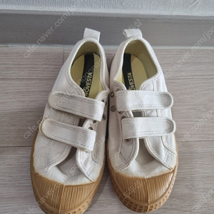 노베스타 30