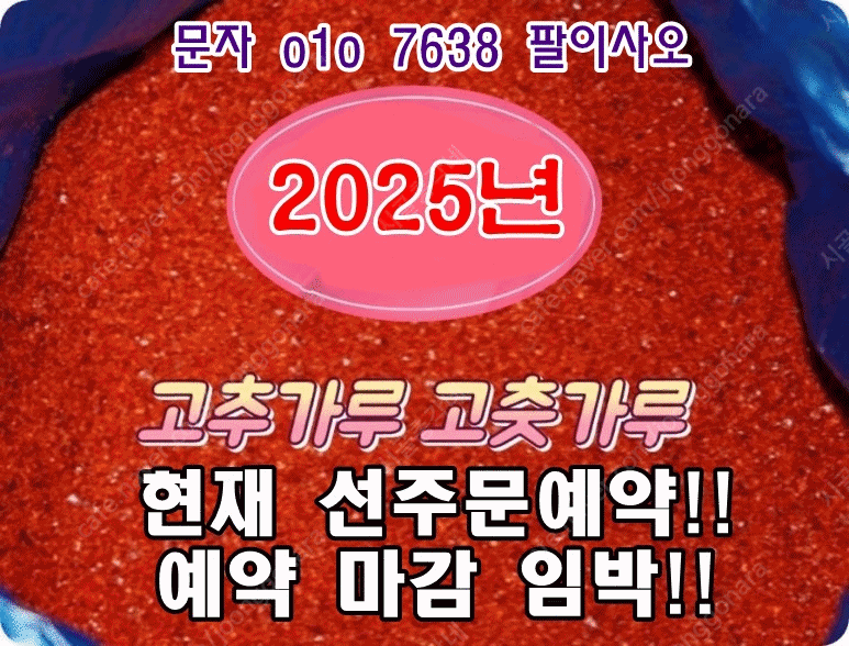 2025년 햇 고추가루 고춧가루 싸게 저렴하게 특가 할인 판매 구입 주문