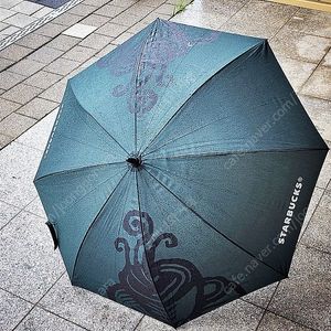 스타벅스 자동 장우산