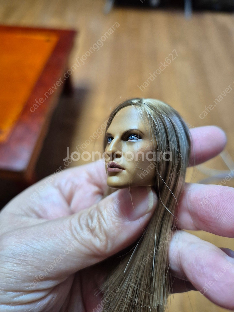 1/6 몬스터헌터 헌팅소울 미사용, 수퍼덕커스텀, 쿠미키 쿵푸허슬 커스텀, 추노 장혁 식모 헤드, 레옹, 오비츠 헤...--6