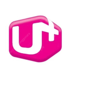 lg데이터 2기가 2700원 팝니다