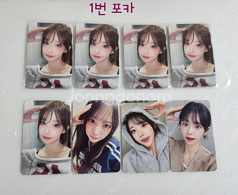 QWER 미공개 포토카드/엽서--0