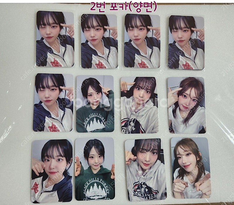 QWER 미공개 포토카드/엽서--1