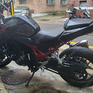 Honda CB750 HONET 2023 빠르게 팔아봅니다! 가격 다운!