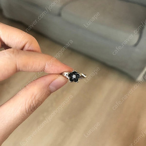 판도라 미스틱플라워 50호