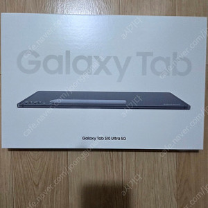 갤럭시탭 S10울트라 5G 256GB