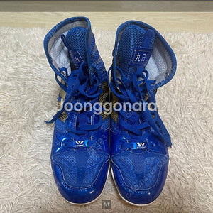 위싱 복싱화 프로용 260 55,000원 택포