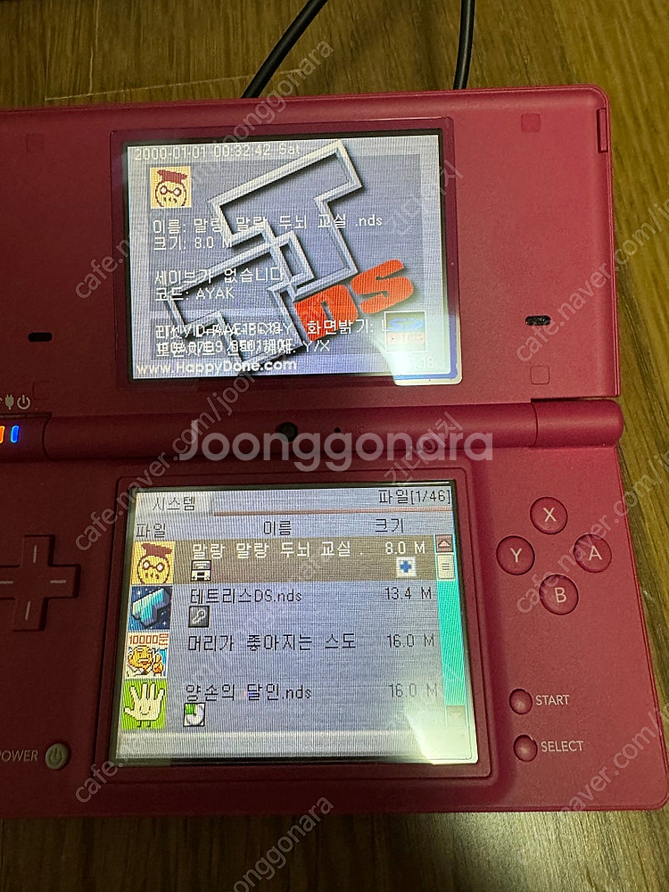 dsi(일본판) + tt 칩--3