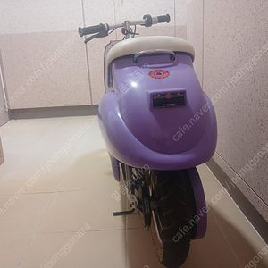 레이저 베티