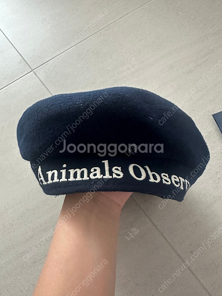 타오 베레모 네이비(라지)--0
