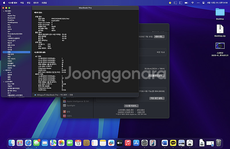 맥북프로 14인치 스그 M1 Max 10코어, GPU--3