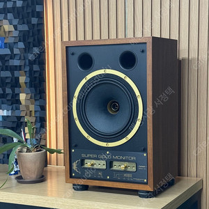 탄노이 sgm10 판매합니다