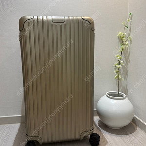 리모와 오리지널 트렁크플러스 티타늄골드 색상