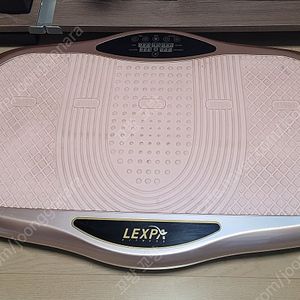 LEXPA 전신운동기구(덜덜이) 팝니다
