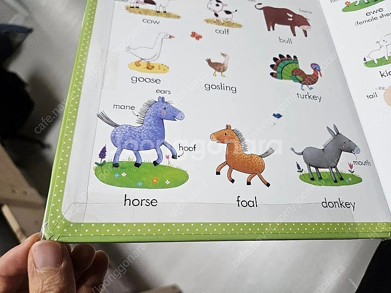 잠수네 - 어스본 마이 퍼스트 북 (하드커버)--6