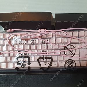 체리 적축 MX 3.0S TKL 텐키리스 핑크