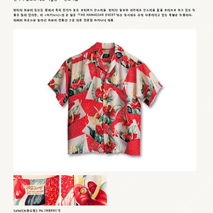 SUNSURF 슈가케인 선서프 40's 안투리움복각 레이온 하와이안셔츠 M 100 토요엔터프라이즈 40년대 알로하 셔츠 복각 오픈카라 풀카운트 웨어하우스 와코마리아 페로우즈