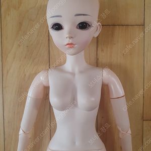 가격내림- 도리스돌 (doris doll)