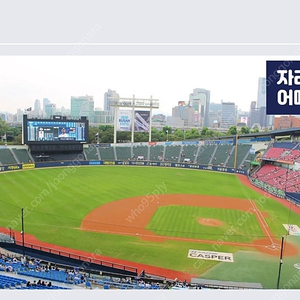 8/19 화 LGv롯데 3루 네이비 LG엘지트윈스 롯데 잠실(323블럭 15열 통로3연석 시야명당 사진참고)