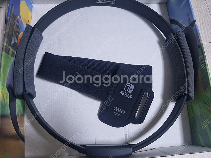 링피트--1