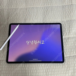 아이패드 프로 12.9 6세대 128g