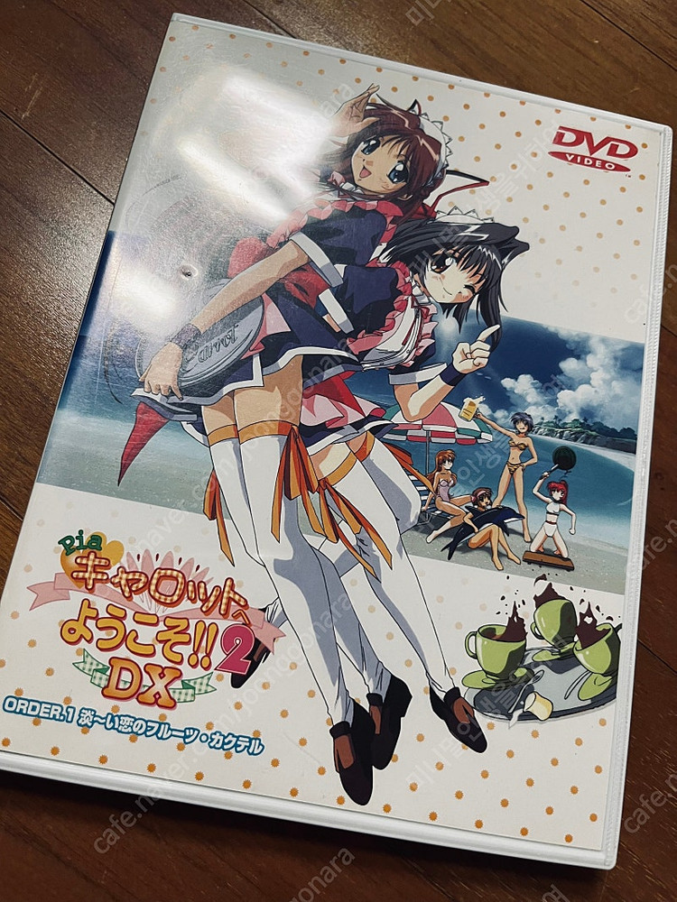 천지무용인러브,피아캐럿에어서오세요 DVD 이미지