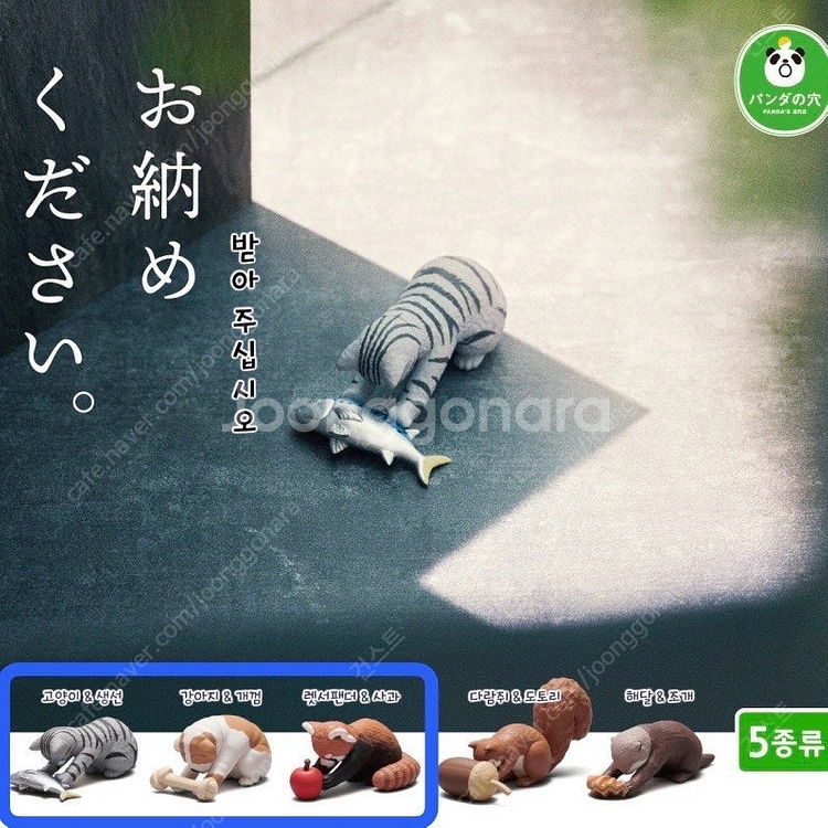 부디 받아 주십시오 동물 캡슐토이 가챠 팝니다!--0