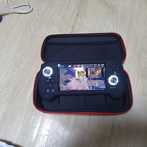 RG556+256g한방팩 판매합니다.