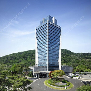 8/17 반얀트리 클럽앤 스파 서울 호텔 남산 풀 디럭스 릴렉세이션 룸 8월17일