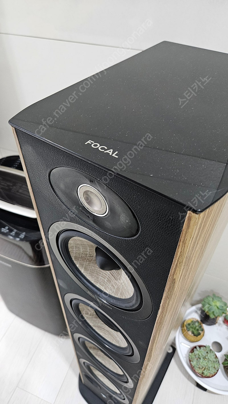 포칼 아리아 936 톨보이--2