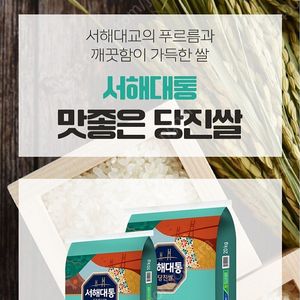 cgv롯데시네마.메가박스.10장.일반석.커플석.로얄석.슈퍼플렉스.씨네커플.리클라이너.cgv스몰세트최저가
