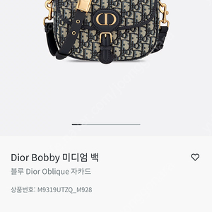 디올 바비백 미듐 오블리크