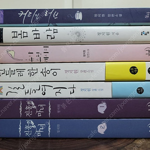 로맨스 작가 일괄 판매 - 정지원 장편소설
