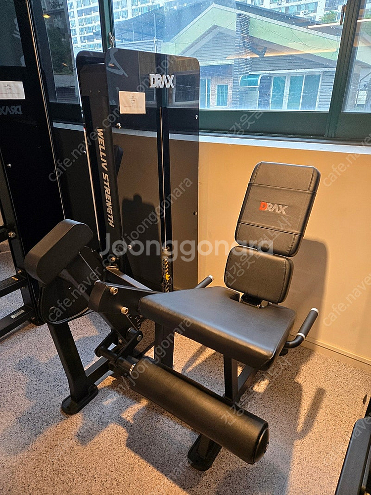 디랙스 세트(레그 익스,컬,랫풀,숄더,팩덱,스미스--4