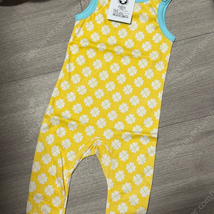 던스 노랑클로버 노란클로버 덩가리 노클