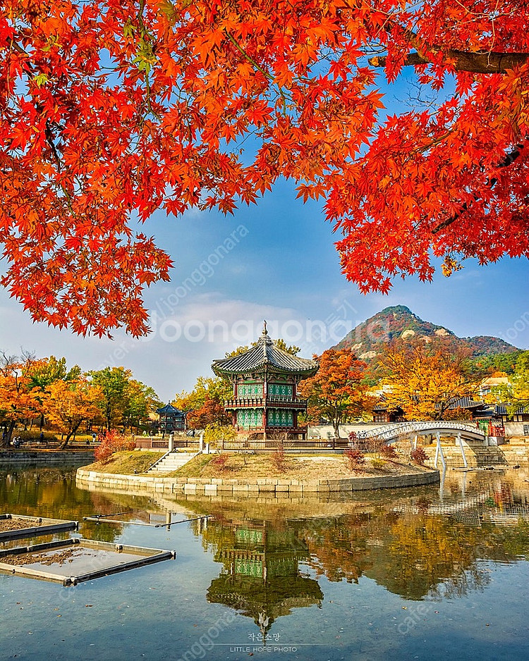 라데온 RX 6700 XT 그래픽 카드 구매원합니다. 경기도 부천 직거래--0