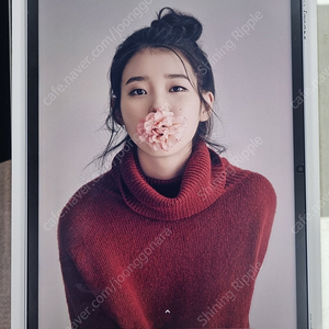샤오미패드7 256G + 정품펜슬(포커스펜) + 정품커버 / 태블릿 / 미패드