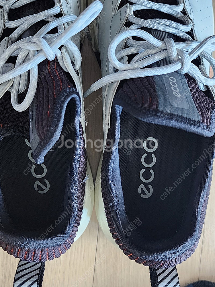 에코 BIOM C4 골프화 40사이즈 255--5