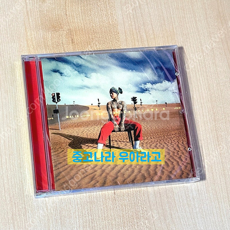[CD] 던말릭 - 선인장화--0