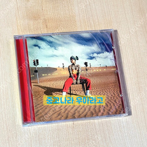 [CD] 던말릭 - 선인장화