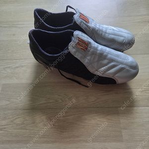 f50 2004년모델 sg 250