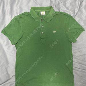 남성 라코스테 5사이즈 다크그린 PK 카라 폴로 반팔 셔츠 Lacoste 시그니처 색상