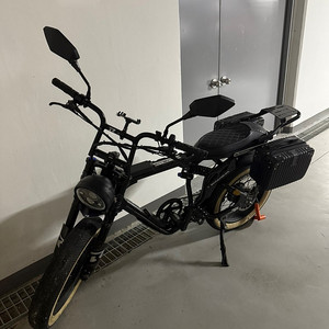 BR3 전기자전거 SR1000S (스로틀 속도 45km)