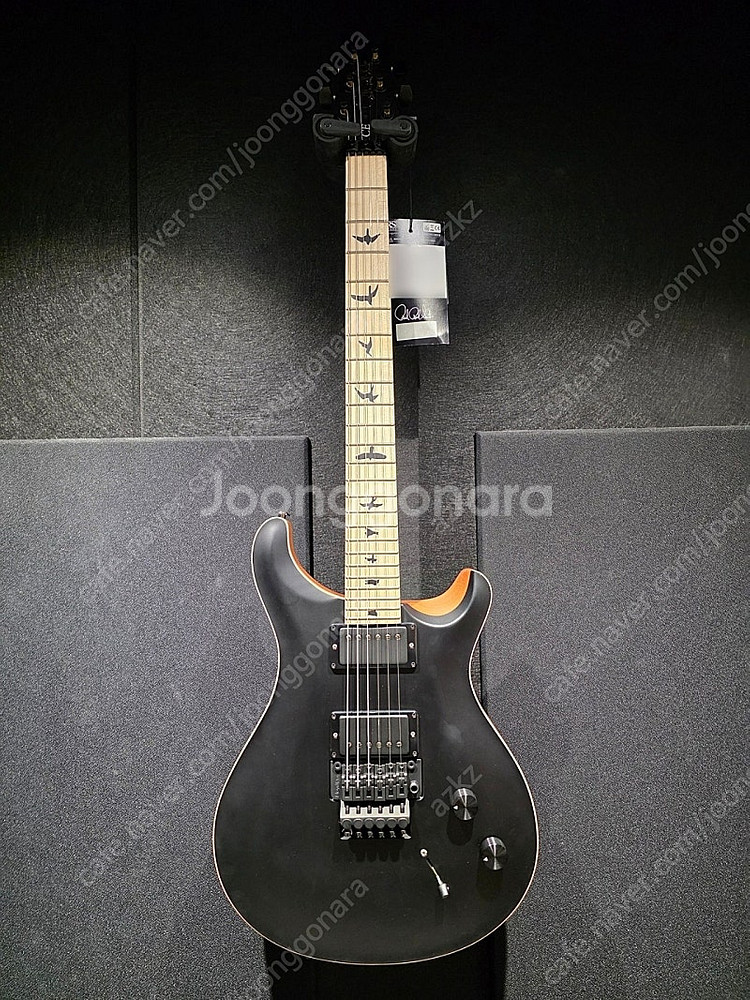 PRS CE24 DW FLOYD--0
