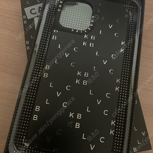 아이폰12프로맥스 한정판 블랙파리 콜라보 케이스 판매합니다.(casetify BLVCK PARIS)